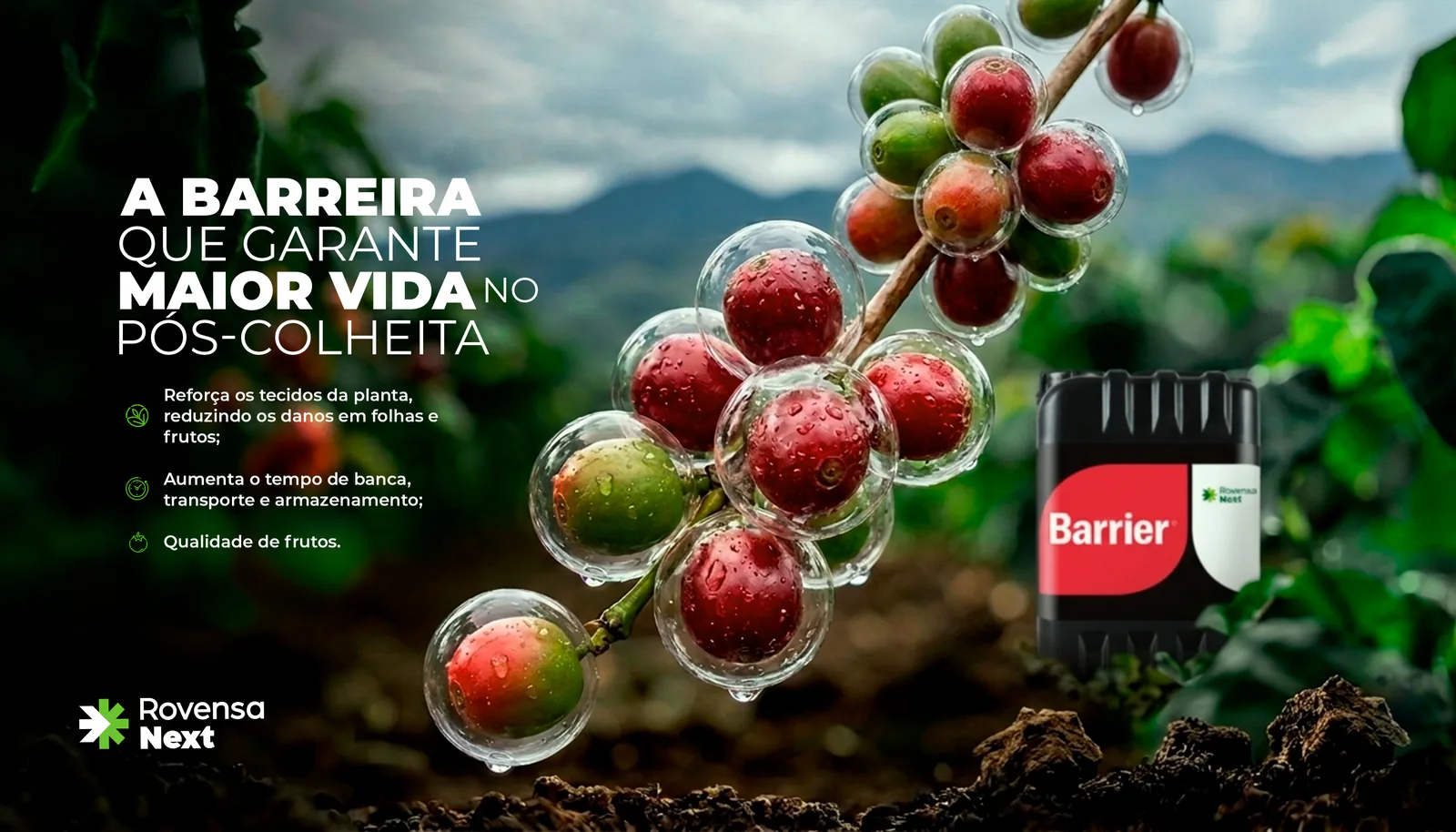 Variação de key visual: Barrier · café.