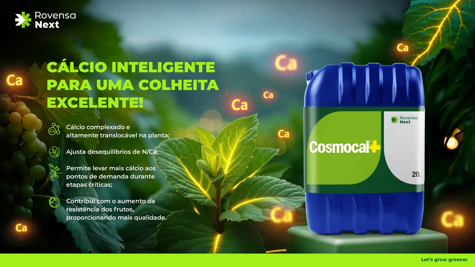 Variação de key visual: Cosmocal · folha.