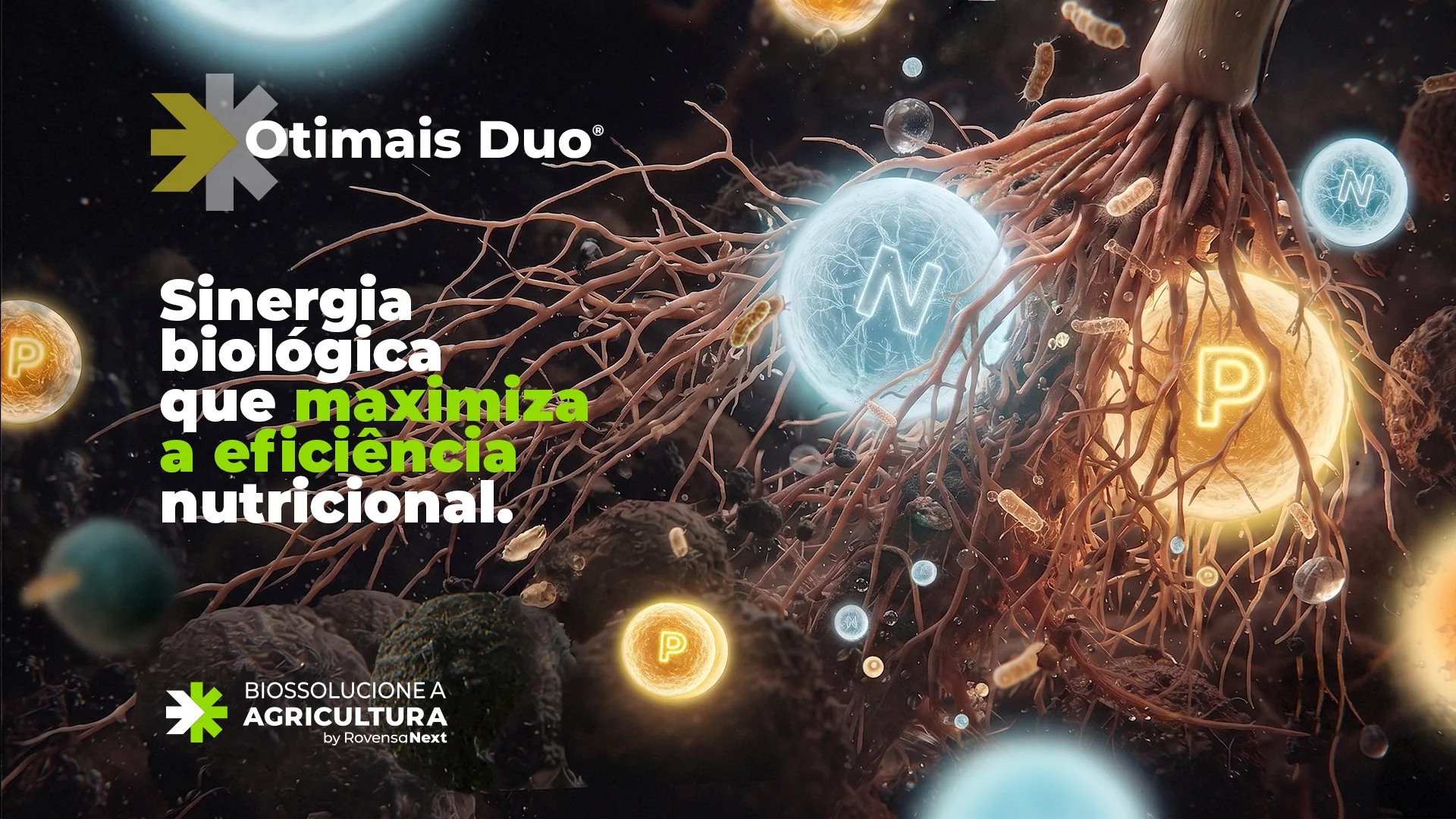Raízes com esferas luminosas de nitrogênio e fósforo, com o título “Sinergia biológica que maximiza a eficiência nutricional.”