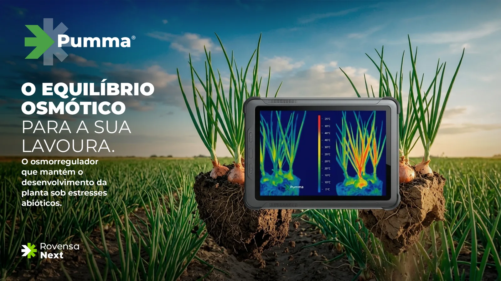Tablet com imagem térmica de plantas sobre uma lavoura de cebola, com o título “O equilíbrio osmótico para a sua lavoura.”