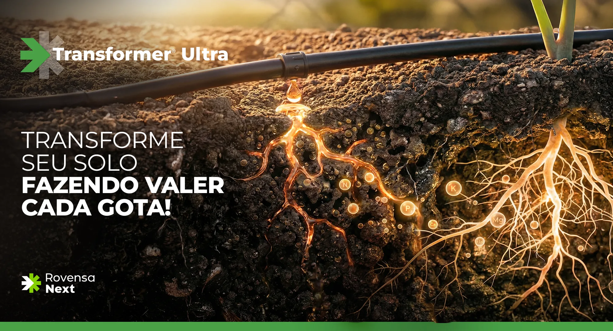 Raízes iluminadas sob uma mangueira de irrigação gotejando, com o título “Transforme seu solo fazendo valer cada gota!”