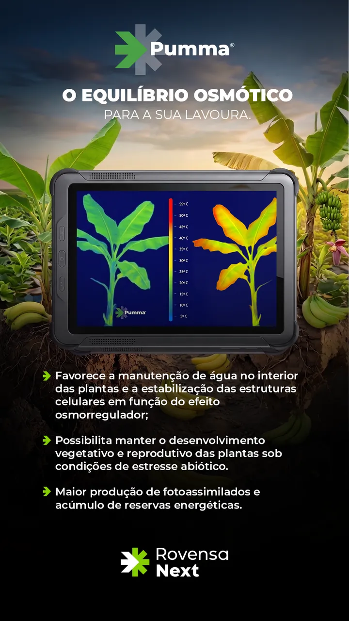 Story Pumma sobre equilíbrio osmótico na banana.