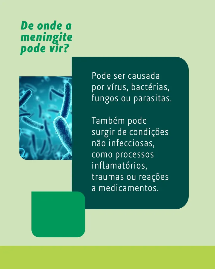 Carrossel Meningite, lâmina 3: “De onde a meningite pode vir?”