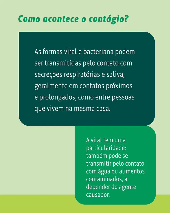 Carrossel Meningite, lâmina 4: “Como acontece o contágio?”