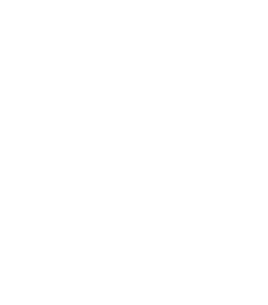 ACE Guarulhos